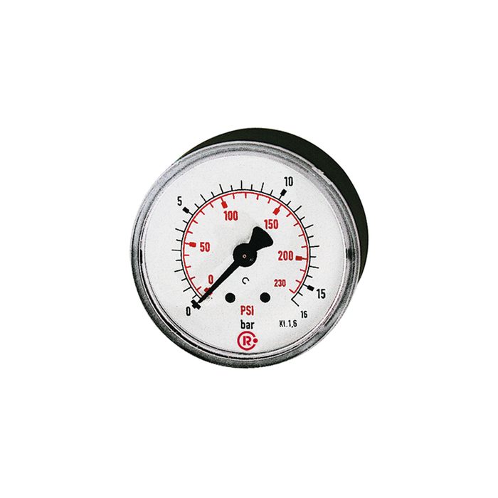 [101533] RIEGLER Standard pressure gauge, rear centric, G 1/8, 0 - 6 bar/87 psi