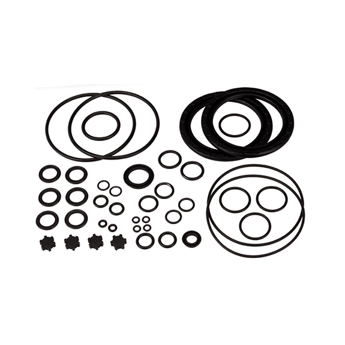 RIEGLER Seal set, for pressure amplifier and controller, Ø 63 mm