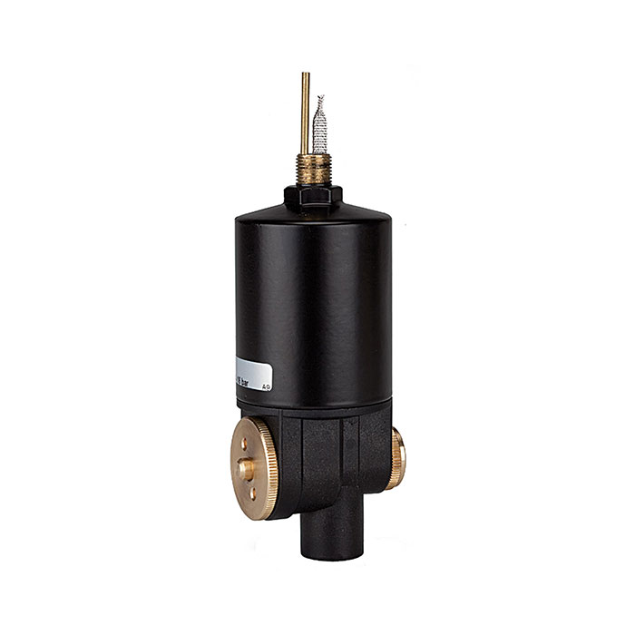 RIEGLER Automatic bleeder valve A, G 1/4 IT / G 1/8 ET
