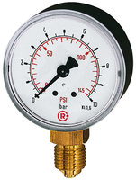 RIEGLER Standard pressure gauge, radial bottom, G 1/8, 0 - 6 bar/87 psi