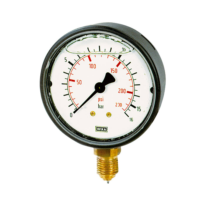 RIEGLER Glycerine pressure gauge, radial bottom, G 1/4, 0 - 16 bar, Ø 63
