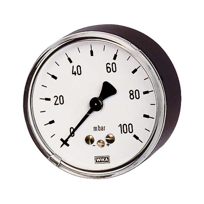 [102559] RIEGLER Kapselfedermanometer, G 1/2 hinten exzentr., 0 - 250 mbar, Ø 100