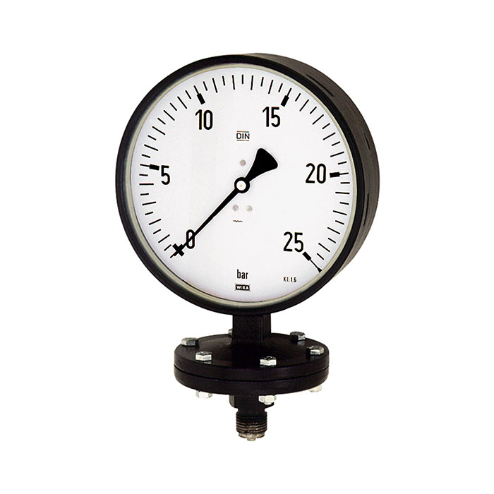 RIEGLER Diaphragm pressure gauge, Robust design, G 1/2, 0 - 6 bar, Ø 100
