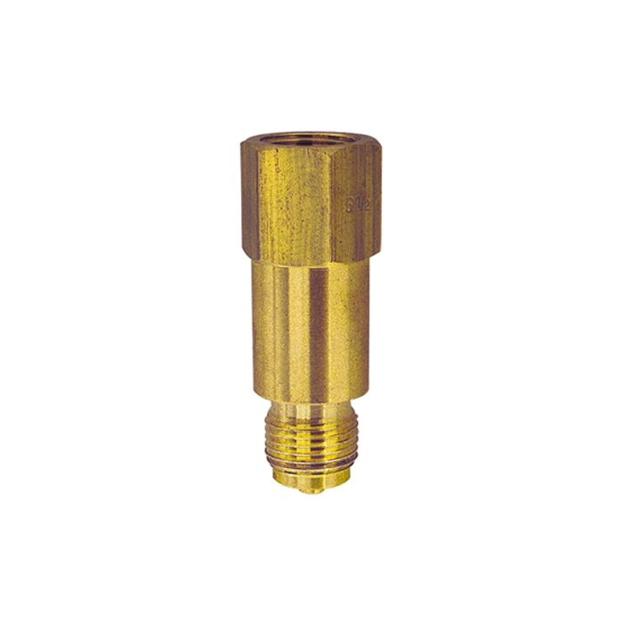 [102690] RIEGLER Intermediate piece for measurement device holder, G 1/2, brass