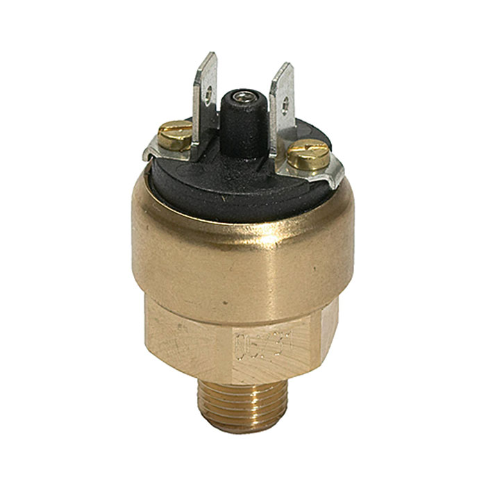 RIEGLER Pressure switch mini design, Brass, G 1/8, Setting range 1-10 bar