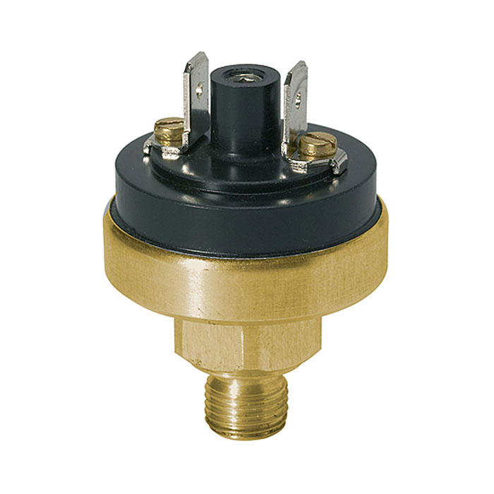 RIEGLER Pressure switch low pressure range, Brass, M10x1, 0.2 - 1.5 bar