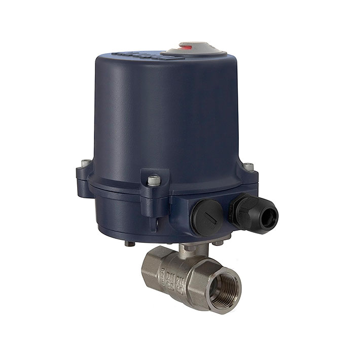 RIEGLER Brass ball valve, Electr. actuation drive, 230 V AC, 50 Hz, Rp 1
