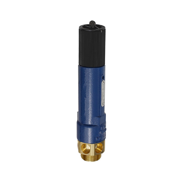 RIEGLER High performance safety valve, G 2, Trigger pressure 2.5 bar
