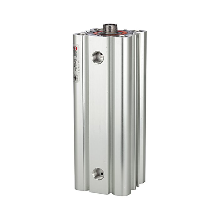 [106019] RIEGLER Compact cylinder, double-acting, Piston Ø 63, Stroke 25, G 1/8