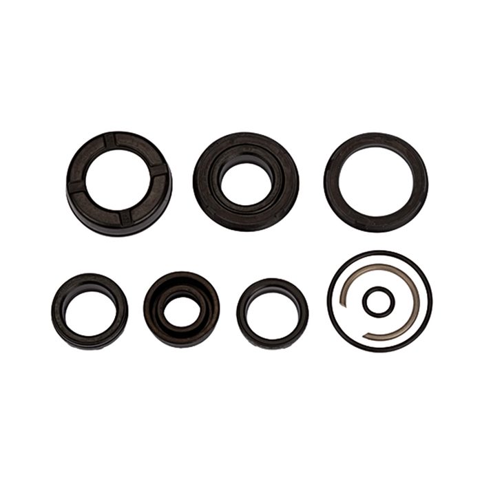 [106175] RIEGLER Seal set (wear part), for compact cylinder, Piston Ø 63, PU seal