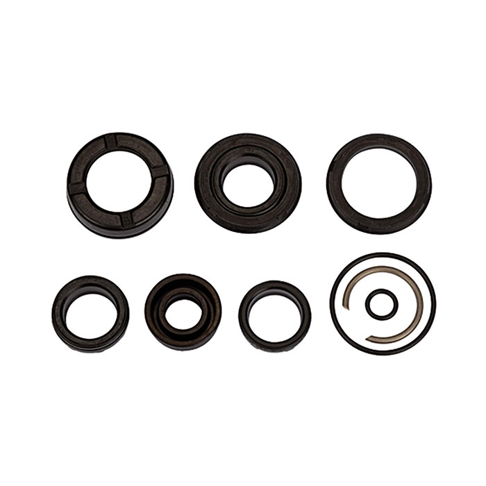 RIEGLER Seal set (wear part), for compact cylinder, Piston Ø 80, PU seal