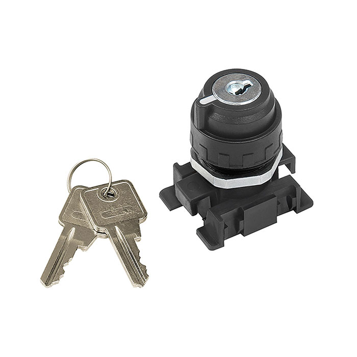 RIEGLER Lockable 2 position switch with key removal in home position
