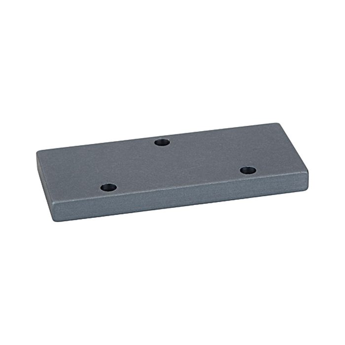 [106631] RIEGLER Abdeckplatte für Grundplatte G 1/4 für Anschlussfläche G 1/8