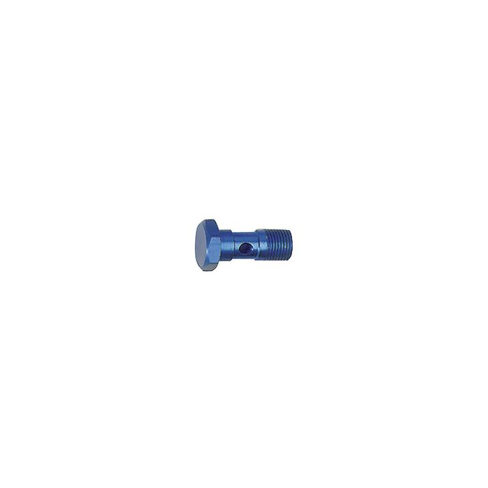 [110758] RIEGLER Hollow screw, G 1/4, AF 17, Aluminium