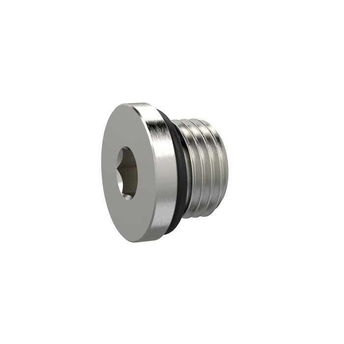 [111410] RIEGLER Verschlussschraube, Innensechskant 6 mm, G 1/4, NBR O-Ring, MSN