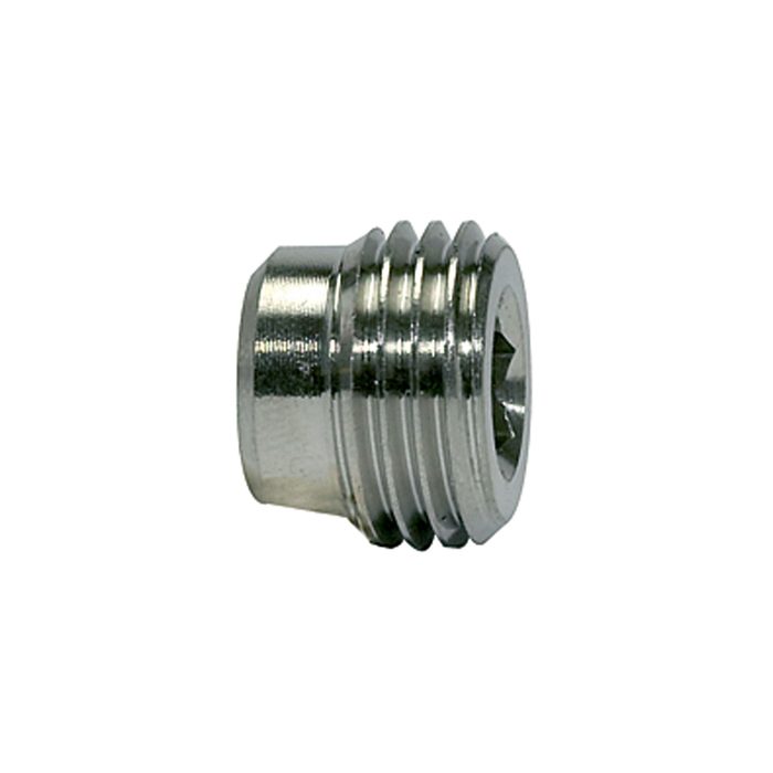 [111651] RIEGLER Locking screw, Hexagonal socket, without flange, G 1/8