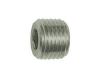 RIEGLER Locking screw, Hexagonal socket, without flange, R 1/8