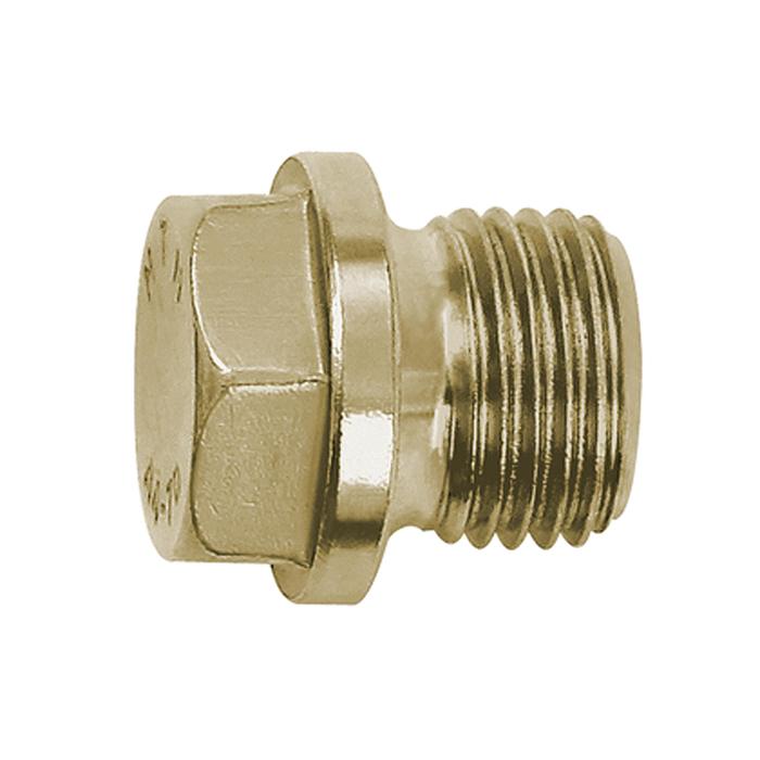 [111667] RIEGLER Locking screw, Exterior hexagonal and flange, G 1/8