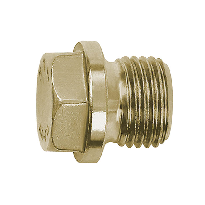 RIEGLER Locking screw, Exterior hexagonal and flange, G 1/2