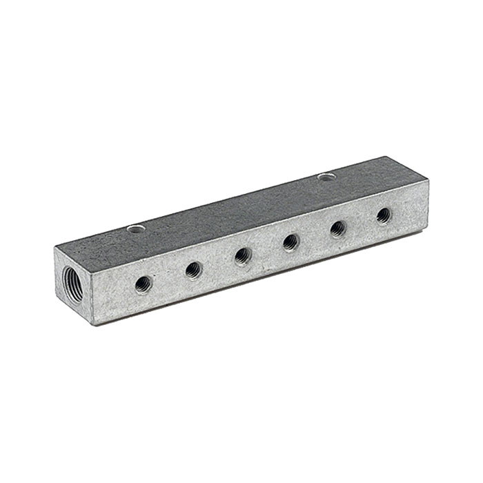 RIEGLER Distributor strip, Outlets one side, Input 2x1/8, Output 2 x M5