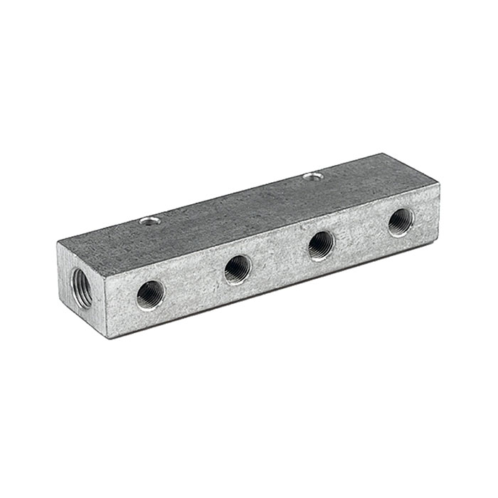 RIEGLER Verteilerleiste, Abgänge einseitig, Eingang 2x1/8, Ausgang 4xM5