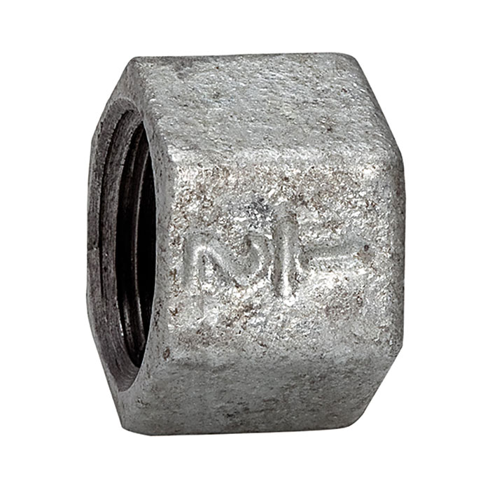 RIEGLER Cap 300, IT, Rp 1 1/2, black malleable cast iron
