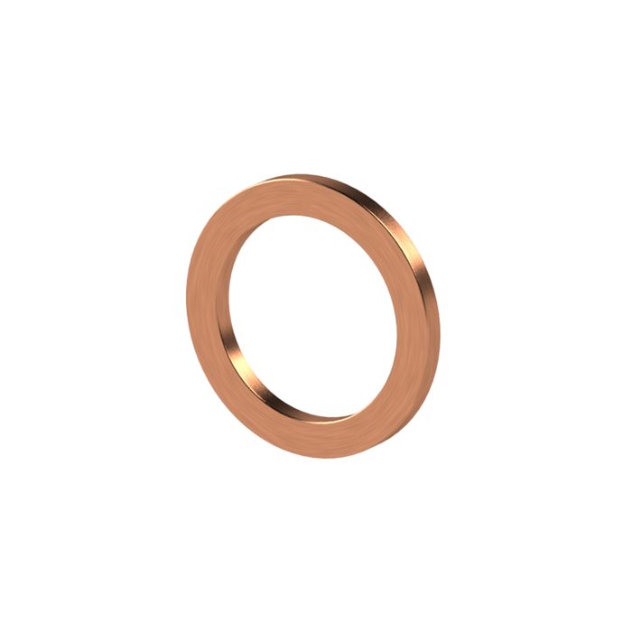 [114107] RIEGLER Sealing ring made of copper, for thread G 3/4, PU 100 pcs.