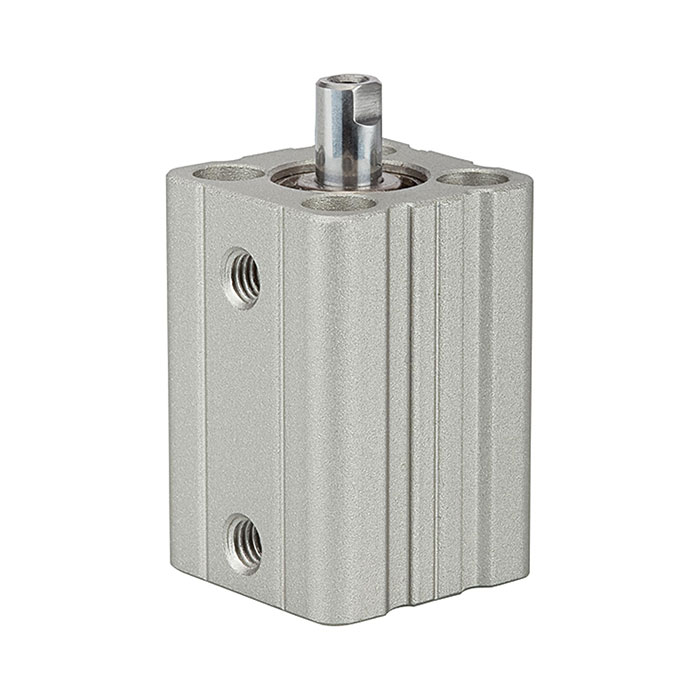 RIEGLER Short stroke cyl., double-acting, Piston Ø 16, Stroke 50, M5x0,8