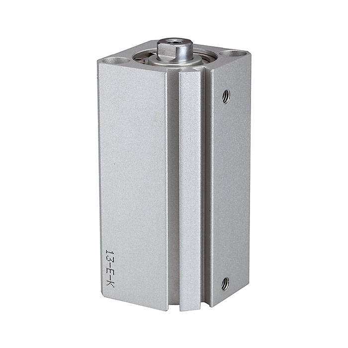 RIEGLER Short stroke cyl., double-acting, Piston Ø 20, Stroke 55, M5x0,8