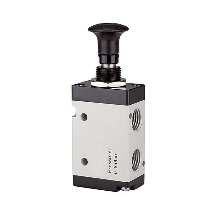 [115979] RIEGLER 5/2-way valve, Push button actuation, »3L« G 1/4