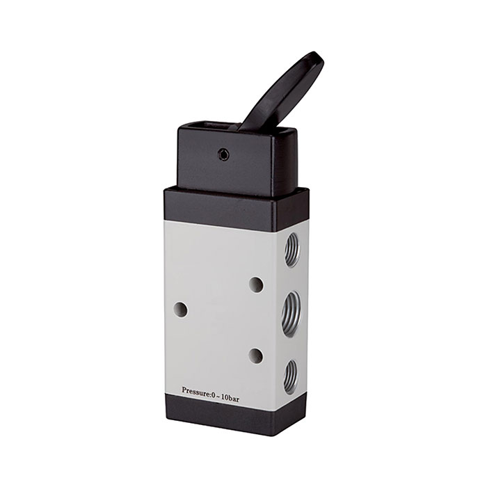 RIEGLER 5/2-way valve, Manually actuated, »M5«, Toggle lever, G 1/8