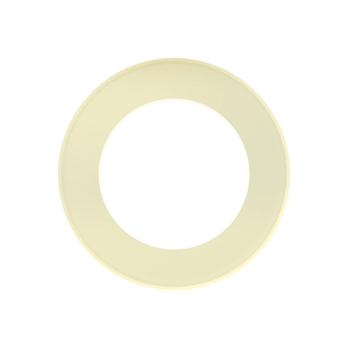 [118852] RIEGLER Connection seal made of PA for flange pressure controller 200 bar