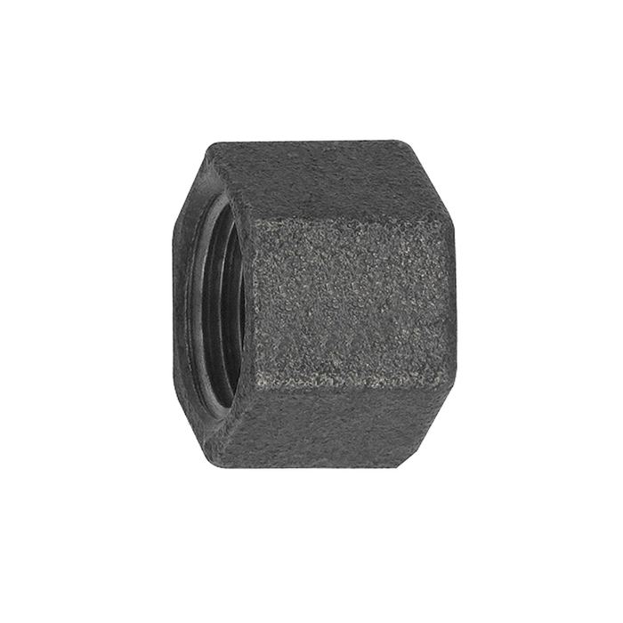 [133797] RIEGLER Cap 300, IT, Rp 1/4 black malleable iron fitting