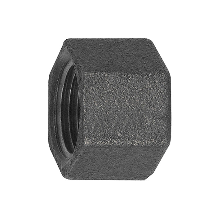 RIEGLER Cap 300, IT, Rp 1 1/4 black malleable iron fitting