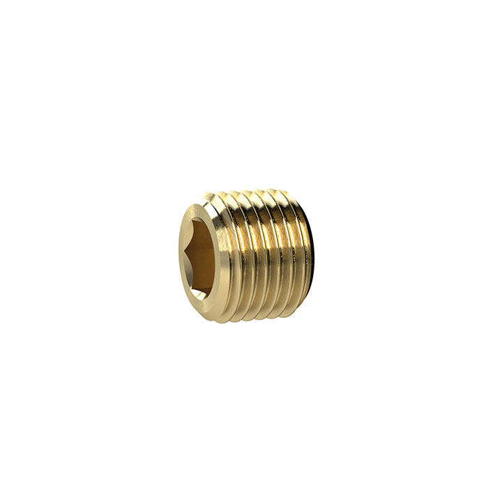 RIEGLER Locking screw, Hexagonal socket, without flange, G 1, Brass
