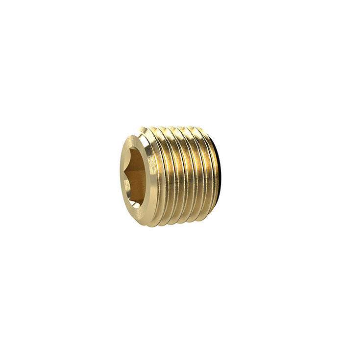 RIEGLER Locking screw, Hexagonal socket, without flange, R 1 1/2, Brass