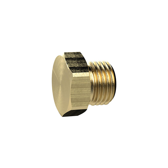 RIEGLER Locking screw, Exterior hexagonal, G 1/8, AF 14, Brass