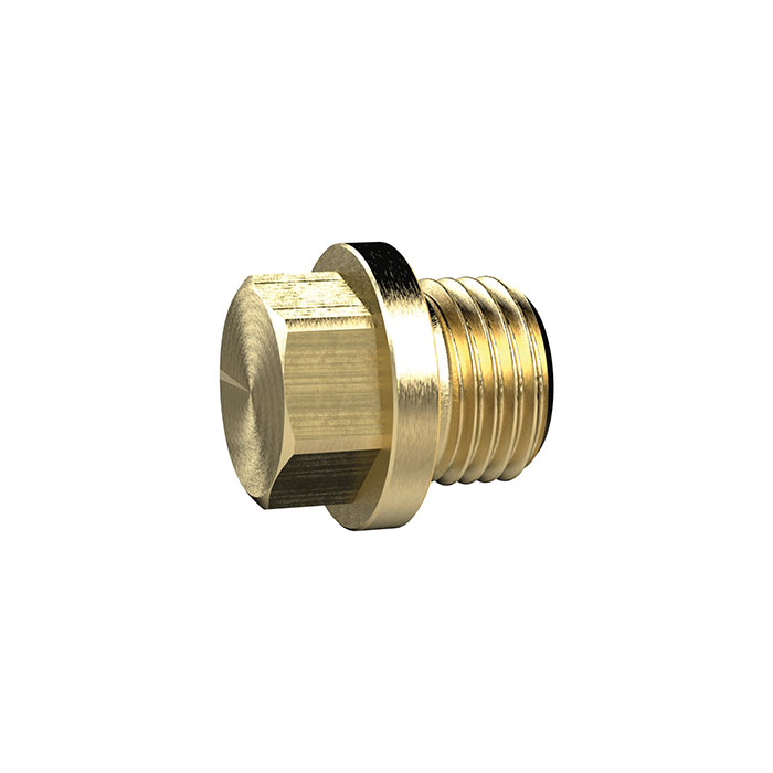 RIEGLER Locking screw, Exterior hexagonal and flange, G 1/2, AF 19, Brass