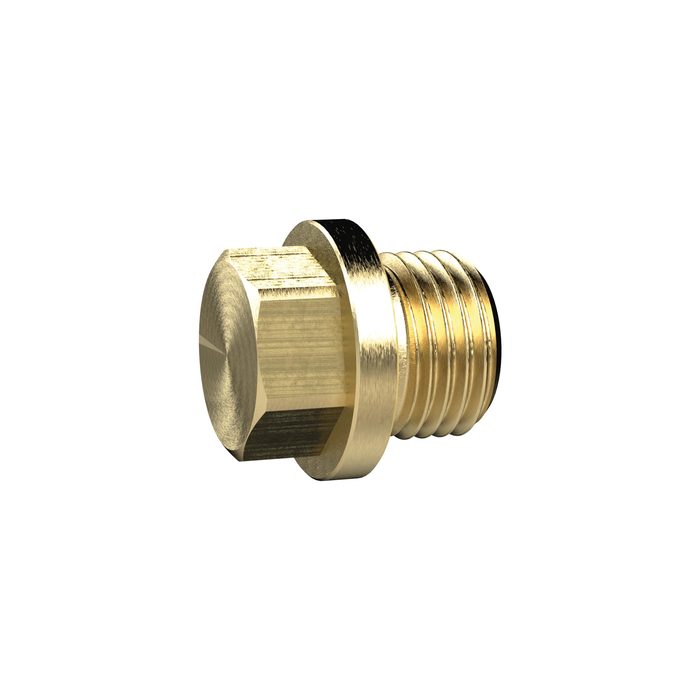 [136098] RIEGLER Locking screw, Exterior hexagonal and flange, G 1/2, AF 19, Brass