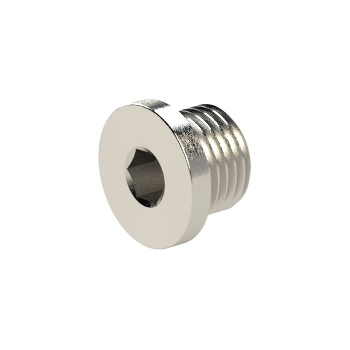 [136438] RIEGLER Locking screw, Hexagonal socket and flange, G 1 1/2, AF 24