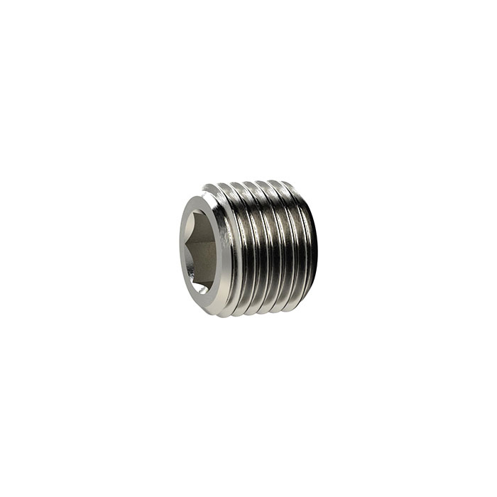 RIEGLER Locking screw, Hexagonal socket, without flange, G 2