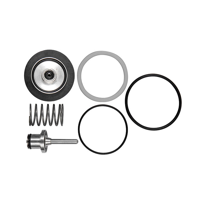 RIEGLER Wear part set for stainless steel pressure/filter regulator