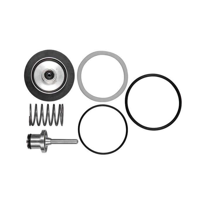 [137116] RIEGLER Wear part set for stainless steel pressure/filter regulator