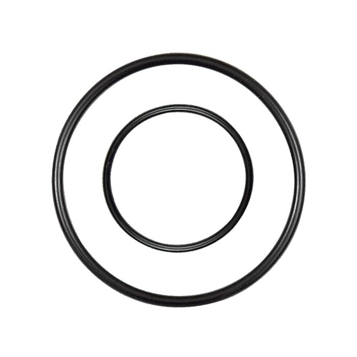 [137321] RIEGLER Ersatzdichtung für Edelstahl-Guss-Filter/Filterregler, BG1, BG3