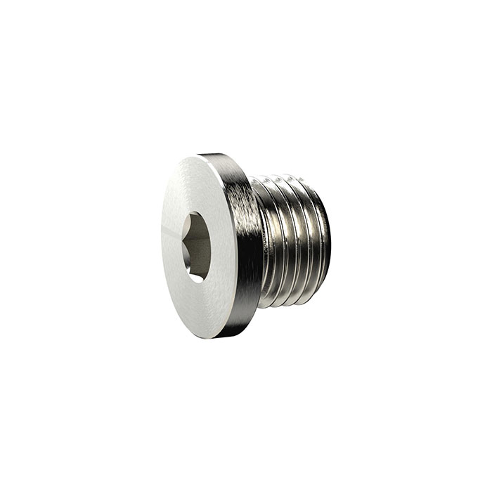 [137911] RIEGLER Locking screw, Hexagonal socket and flange, G 1/4