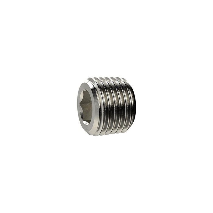 RIEGLER Locking screw, Hexagonal socket, without flange, R 1/8