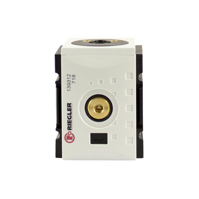 [139312] RIEGLER Check valve »FUTURA«, Size 2, G 1/2