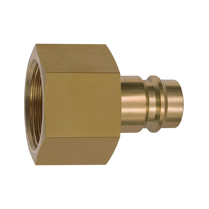 [141575] RIEGLER Nippel für Kupplungen NW 19, Messing blank, G 1 1/4 IG