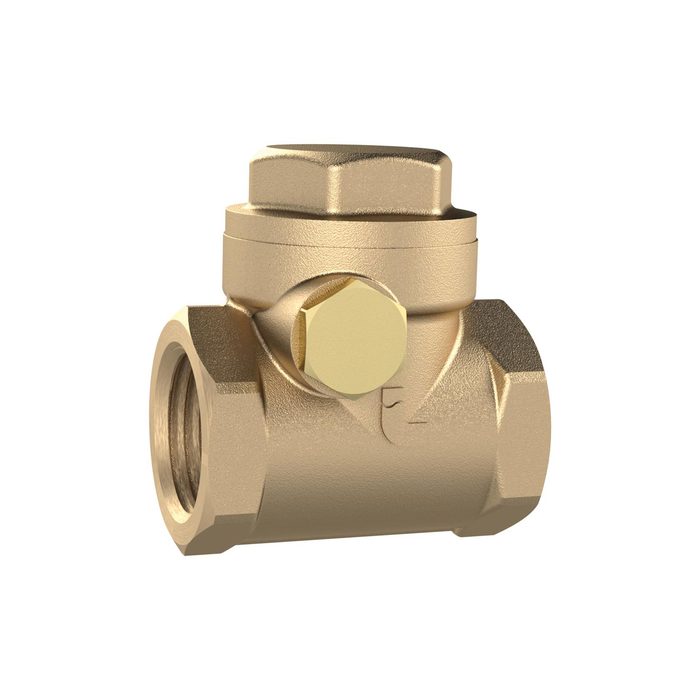 [158072] RIEGLER Check valve, DN 100, Brass, G 4, PN max. 8 bar