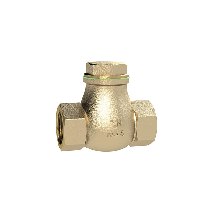 RIEGLER Check valve, DN 40, Red brass, G 1 1/2, PN max. 16 bar